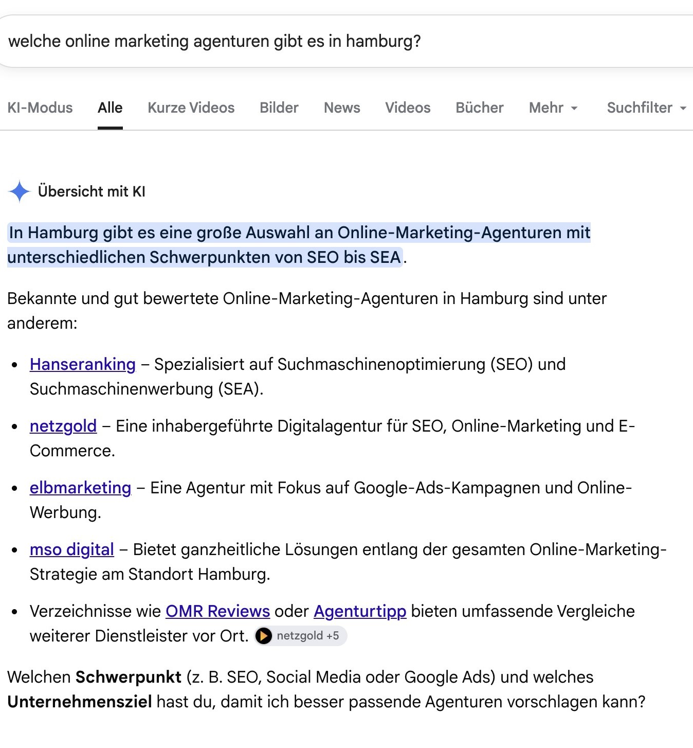 Googles Uebersicht mit KI nennt netzgold als Agentur aus Hamburg