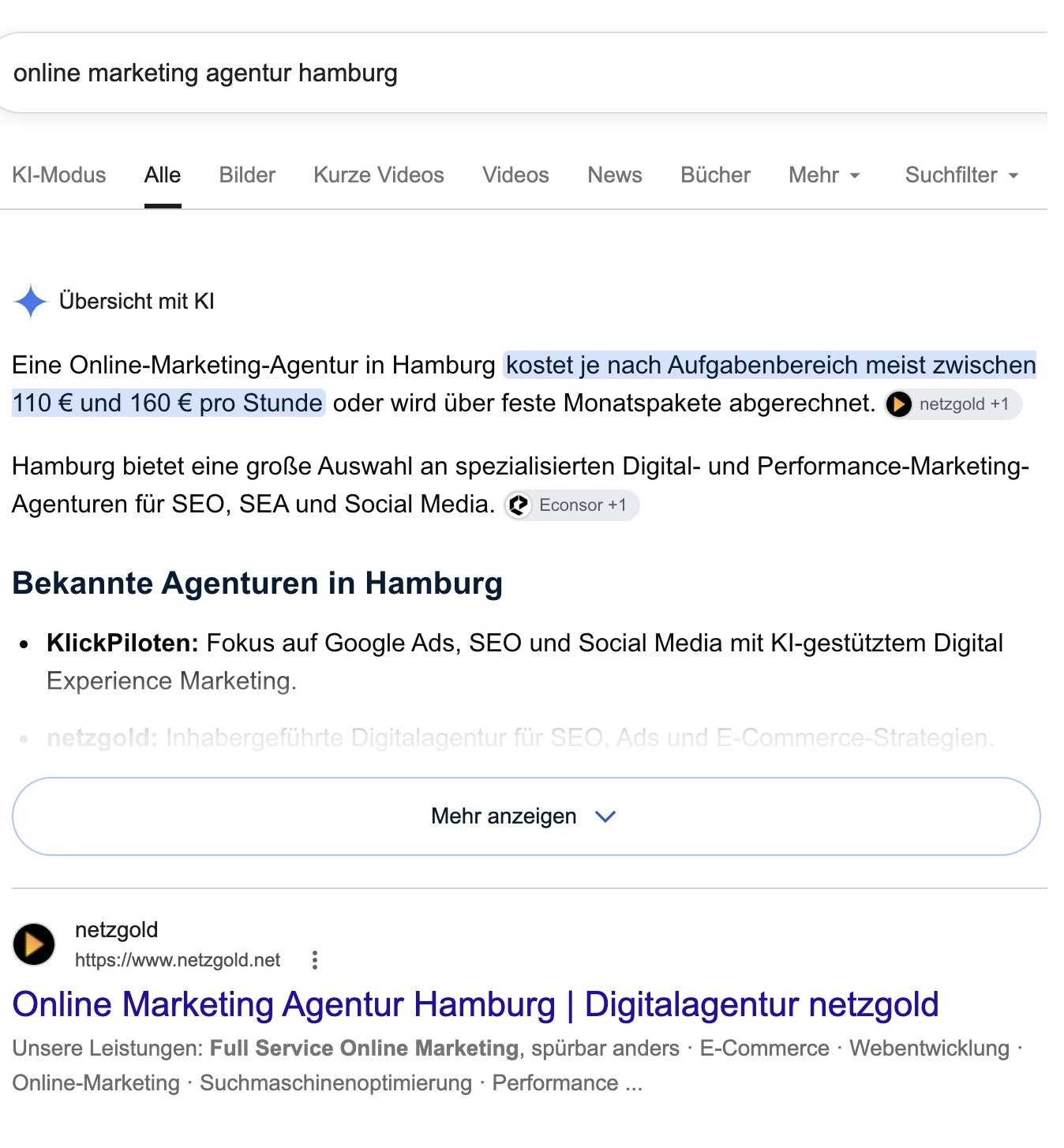 Organisches Google-Suchergebnis fuer online marketing agentur hamburg mit netzgold
